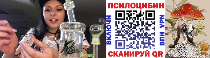 как найти закладки  Гагарин  Псилоцибиновые грибы прущие грибы 